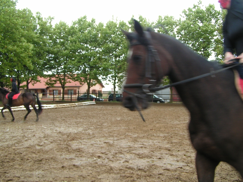 PO 2008 (48).jpg
